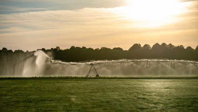Watering meadow with water spray. Watering landscape through pivot irrigation. Watering field with irrigation system. Watering grass with mist.
