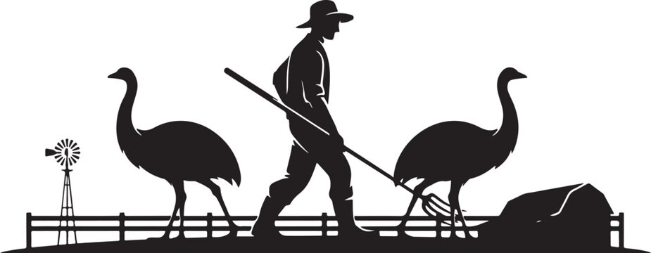 Black silhouette of man with hat walking with two ostrich