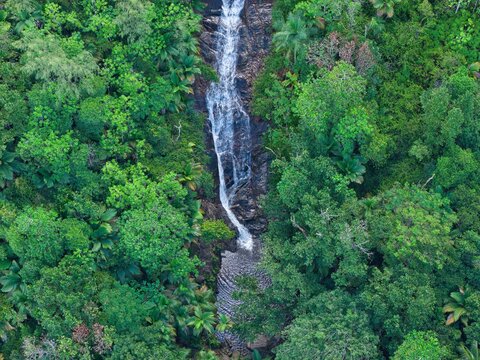 Aerial top-down view of Sauzier Waterfall cascading through a dense, lush tropical jungle canopy, Mahe, Seychelles