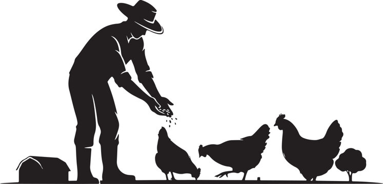 silhouette Man feeding chickens with feed from a bag on the ground