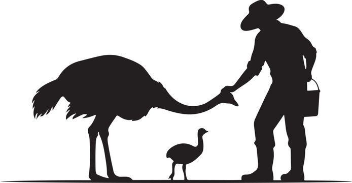 silhouette Man feeding ostrich with bucket and chick standing nearby