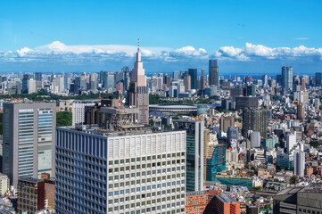 Naklejka premium The view from the observation deck of the Tokyo Government building