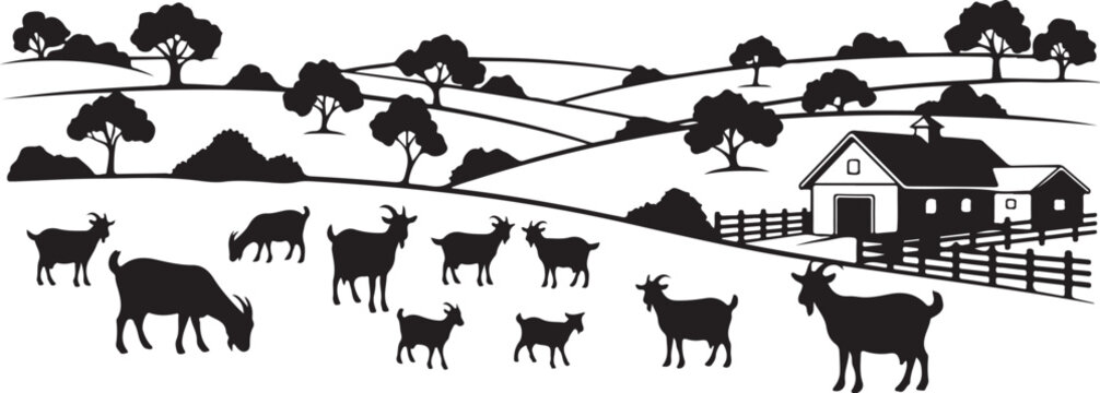 Black and white farm scene with goats and barn rural