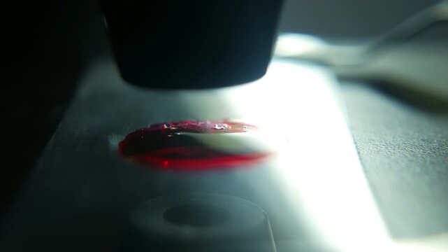 Microscope lens examining blood sample on glass slide in laboratory, close up.