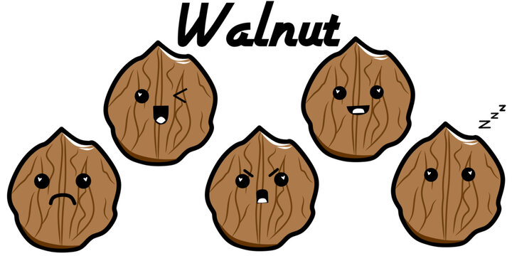 Cute walnut kawaii character with various expressions and highlighted heart eyes, a colorful illustration set for stickers, emoji, and clipart.