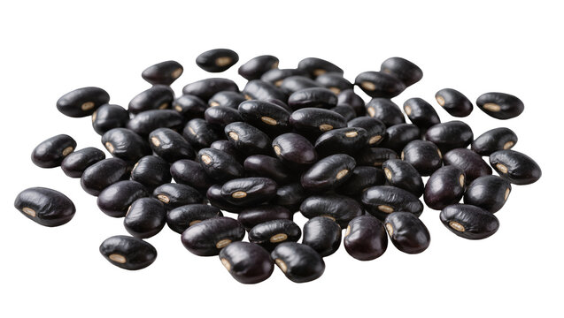 Pile of black beans with white hilum