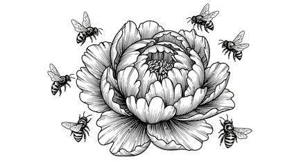 Bee Colony on Large Flower. © Muhammad
