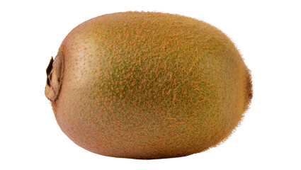 Whole fuzzy brown kiwi fruit with green flesh visible at stem end © Anna