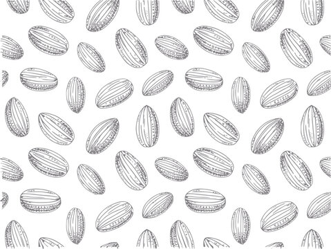 Hand-drawn almond pattern on white background