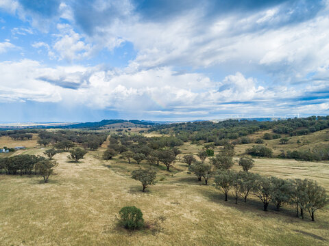 wind turbines on ridgeline overlooking farm pastures dotted with gum trees