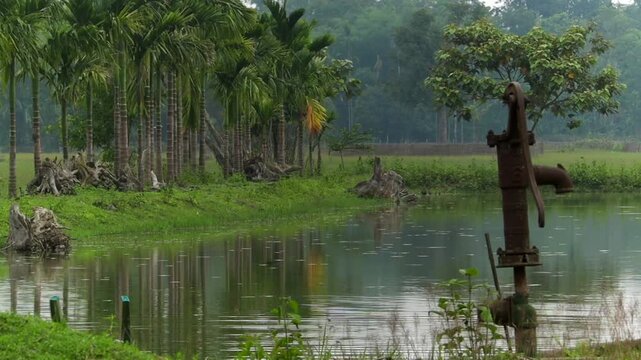 A vintage, rusted water hand pump stands on the grassy edge of a serene pond, reflecting a row of tall palm trees and lush green countryside foliage.