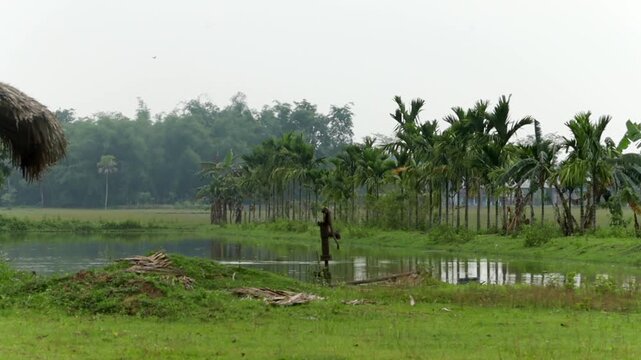 A peaceful countryside scene featuring a calm pond surrounded by lush green grass, a row of palm trees, an old hand pump, and a glimpse of a traditional thatched roof.