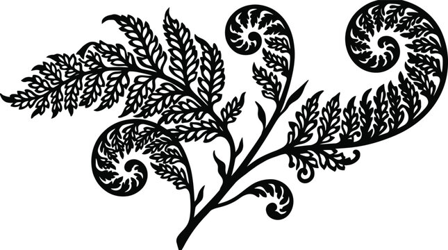 Black Fern Silhouette Botanical Graphic with Koru Spirals