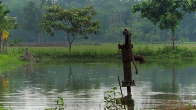 A rusty, traditional iron water hand pump stands on the edge of a tranquil pond, framed by lush green foliage, palm trees, and calm reflections in a peaceful rural countryside landscape.
