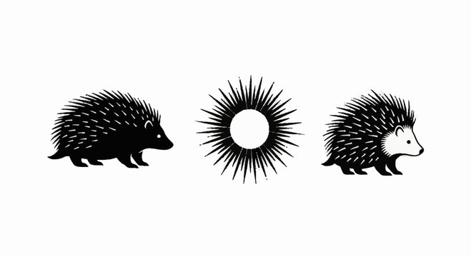Black and white echidna illustration with spiky sun design.