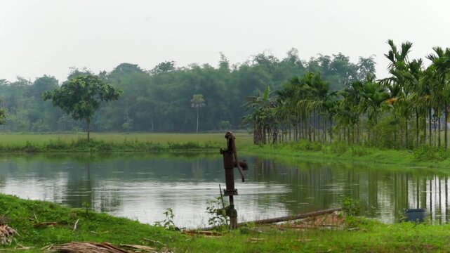 A traditional rusty iron hand pump stands on the grassy bank of a tranquil pond, surrounded by lush green trees and palm trees in a serene rural countryside landscape.