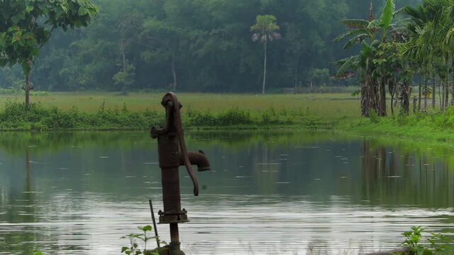 A close-up view of a vintage, rusted iron water hand pump standing by the calm waters of a rural pond, framed by lush green trees, banana plants, and agricultural fields in the tranquil background.
