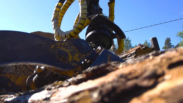 Low angle view of a forestry log trailer with a hydraulic loader crane resting on a large pile of cut timber logs under a clear blue sky, revealing the heavy machinery used in the lumber industry