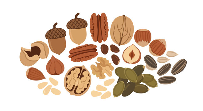 Assorted Nuts and Seeds Collection: Healthy Food Variety - Isolated
