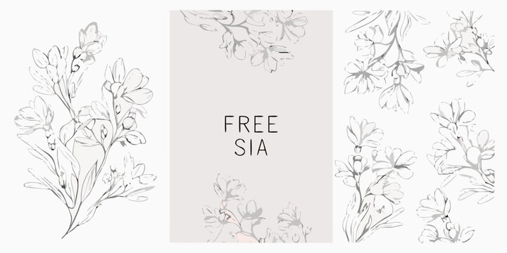 Freesia flower collection hand drawn vector illustration with a light beige background