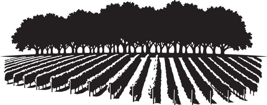 Black silhouette of vineyard with trees rows