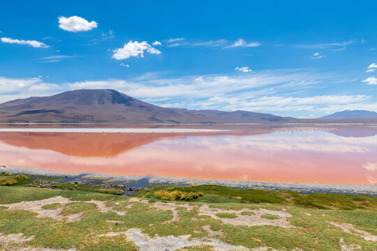 Jirawatfoto photos, images, assets | Adobe Stock