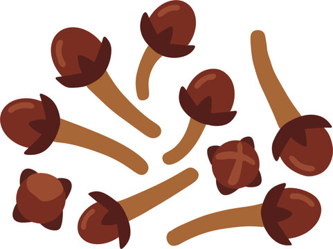 Dried cloves spice vector illustration