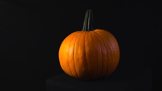 Ripe orange pumpkin for Halloween decoration slowly rotating on a pedestal against a clean black background. Seasonal vegetable and symbol of autumn holidays and harvest celebrations