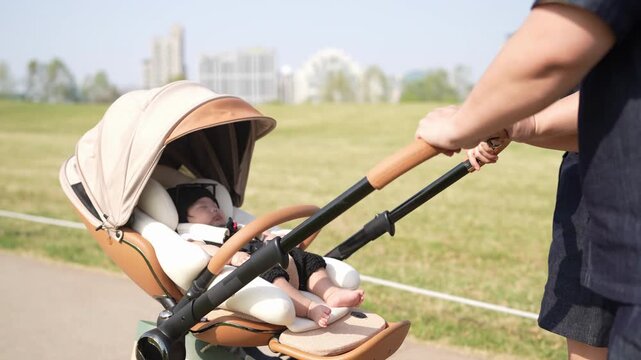 Soft canopy shields a sleeping child. Parent gently pushes stroller along grassy path. Sunlight warms the scene with calm serenity. Perfect for parenting or lifestyle content