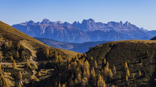 Autumnal mountain landscape in the evening sun, in the background the mountain scenery of the Dolomites, skiing and hiking area Merano 2000, near Merano, South Tyrol, Italy