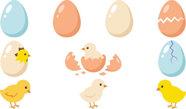 Cute easter eggs and baby chicks vector illustration set featuring whole cracked and hatching chicken eggs with small newborn birds isolated on white background
