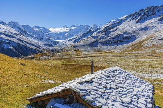 Alpine hut with snow-covered roof, slightly snow-covered alpine meadow, behind the Moiry glacier, near Grimentz, Val d'Anniviers, Valais Alps, Canton Valais, Switzerland