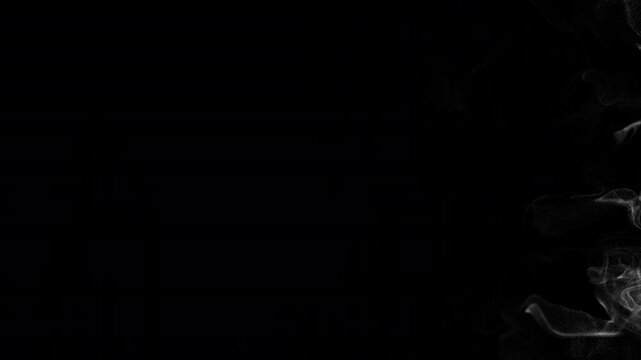 Professional White Smoke Reveal Overlay