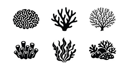 Coral Reef Silhouettes Black Vector Illustrations On White Background © Begum