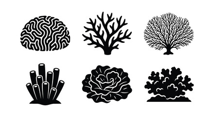 Coral Reef Silhouettes Black Vector Illustrations On White Background © Begum