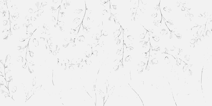 Eucalyptus branch pattern delicate hand drawn vector illustration on white background