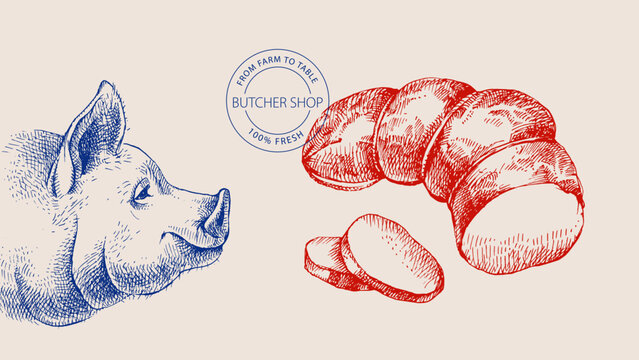 Hand drawn sketch meat butcher shop poster. Vector vintage collage illustration. Menu poster, packaging design banner