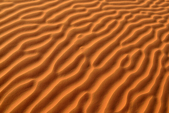 United Arab Emirates, Rub' al Khali, desert sand and ripple marks