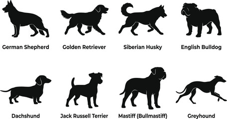 Dog breeds silhouette vector collection featuring German Shepherd, Golden Retriever, Husky, Bulldog, Dachshund, and Greyhound isolated on white background © Designer Arif