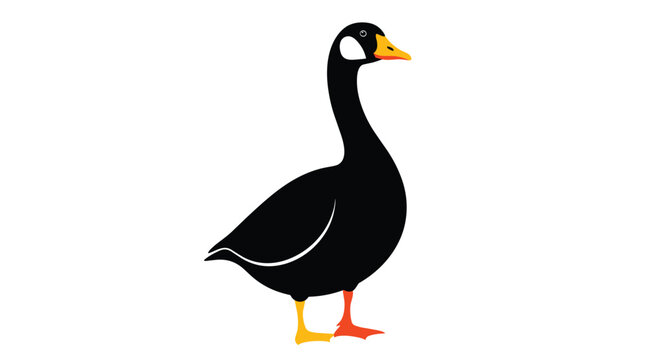 Detailed illustration of a Canadian goose with its characteristic black head, white patch, and brown body feathers.
