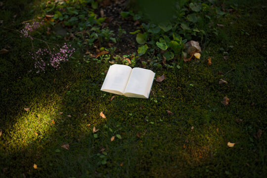 Open book on green grass in garden