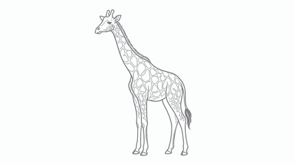Outline Illustration of a Giraffe Standing on a White Background © Yunan