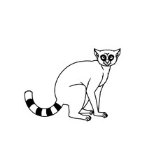 Fototapeta premium Flat 2D vector illustration of a lemur with a long ringed tail, wildlife theme, bold black outlines, white background. set with simple line art design featuring line art, illustrations, graphic res...