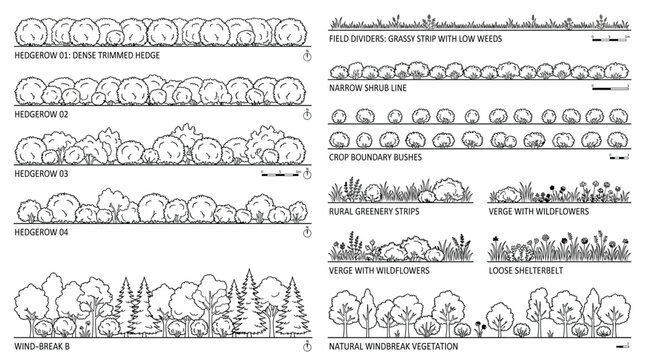 Set of various landscape vegetation elements, hedgerows, windbreaks, and rural greenery strips