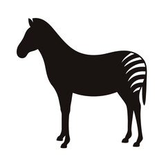 Fototapeta premium Full body zebra profile view, silhouetted in black on white background