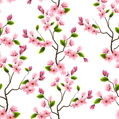 Fototapeta premium Branches of cherry blossoms on a transparent background.Pattern of branches of blooming cherry on a white background.