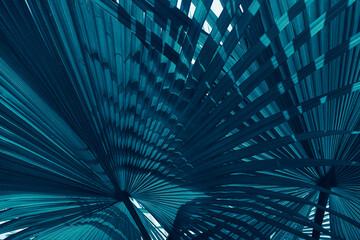Abstract dark blue and teal fan palm leaves pattern for creative tropical background. © pernsanitfoto