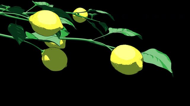 Lemon tree branch with green leaves on transparent background