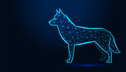 Low poly wireframe husky dog standing profile on dark blue background. © YULIYA