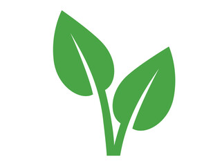 Fototapeta premium Leaf green nature icon. Vector flat illustration of two growing leaves isolated on white background. Eco friendly bio symbol for organic food and ecology logo